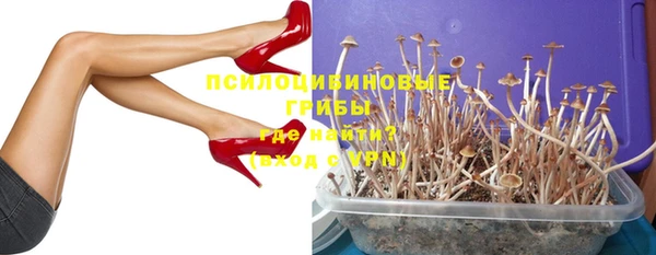 mdpv Лихославль