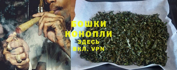 гашик Лиски