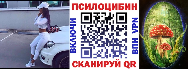 цена наркотик Яранск маркетплейс формула Псилоцибиновые грибы Magic Shrooms