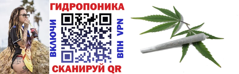 дарк нет телеграм  Яранск  МАРИХУАНА план 